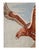 Tabriz rugs are distinguished by their excellent weave and by their remarkable adherence to the classical traditions of...