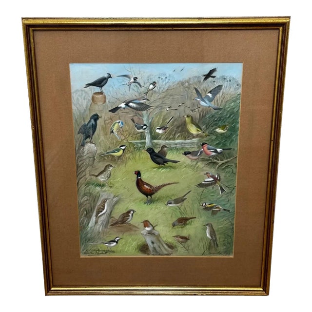A Winter Gathering: Robin and Mixed British Songbirds — Original Watercolor on Paper in the Tradition of Archibald Thorburn For Sale