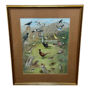 A Winter Gathering: Robin and Mixed British Songbirds — Original Watercolor on Paper in the Tradition of Archibald Thorburn