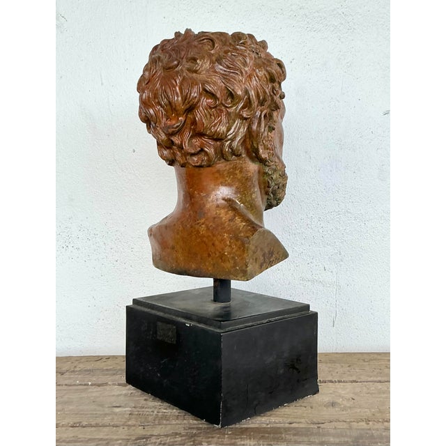 Vintage Patinated Bronze Bust of Alexander the Great For Sale In West Palm - Image 6 of 12