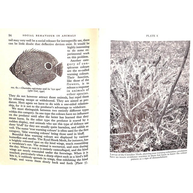 1960s "Social Behaviour in Animals With Special Reference to Vertebrates" 1965 Tinbergen, N. For Sale - Image 5 of 11