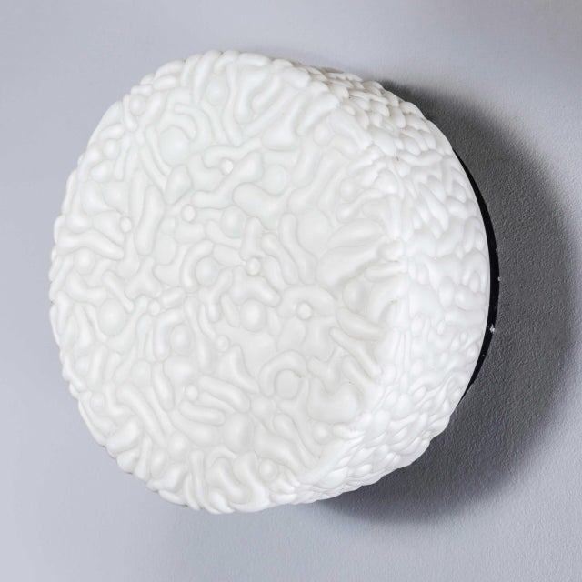 Czech Opaline Organic Ceiling Lamp, 1950s For Sale - Image 10 of 11