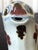 Korean Ceramic Water Dropper in Dog Form Joseon Dynasty For Sale In Atlanta - Image 6 of 17