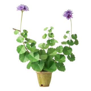 The Green Vase Geranium Plant in Purple For Sale