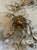 Pair of Vintage Italian Bagues Manner Sconces For Sale - Image 4 of 8