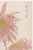 Japanese Two Pink Chrysanthemums by Hasegawa, Vintage Japanese Botanical Art Print, 16" X 24" For Sale - Image 3 of 9