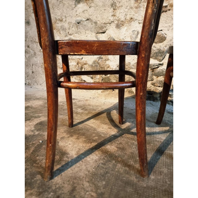 Bentwood Café Chairs from Jacob & Josef Kohn, Vienna, Austria, 1900s, Set of 2 For Sale - Image 4 of 15