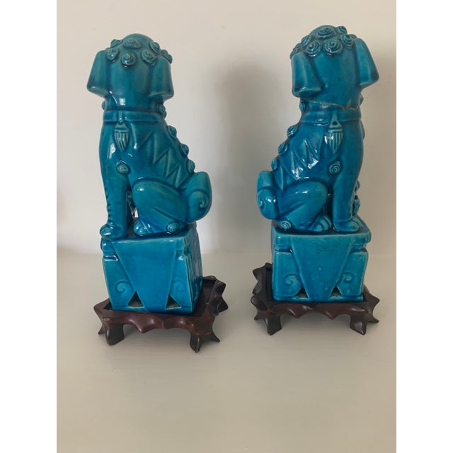 Asian Pair of 1990s Turquoise Foo Dogs on Stands. For Sale - Image 3 of 4