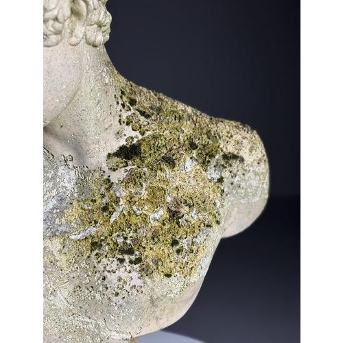 Bust of Hermes in Plaster For Sale - Image 18 of 18
