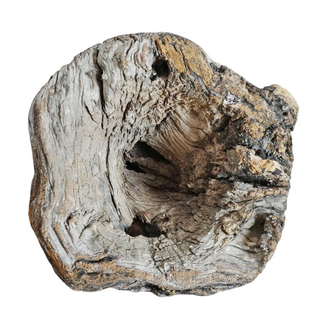 Mid 20th Century Old India Burl Wood Bowl For Sale - Image 4 of 8