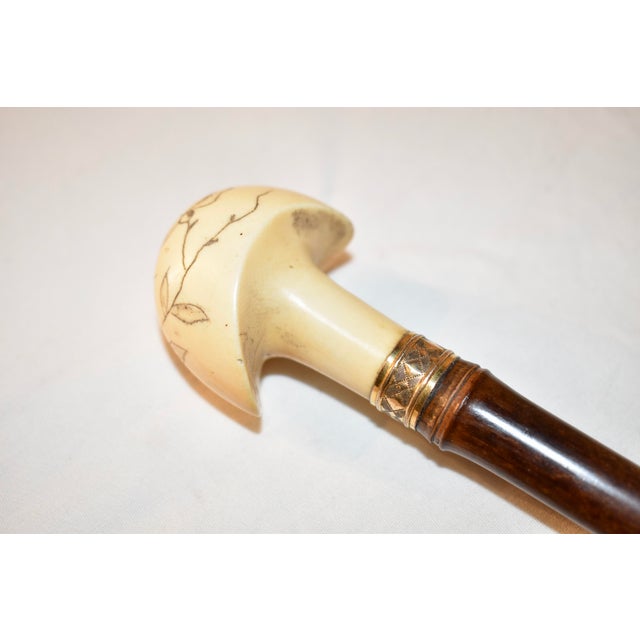 Circa 1930's English Cane or Walking Stick With Bone Handle For Sale In Greensboro - Image 6 of 6