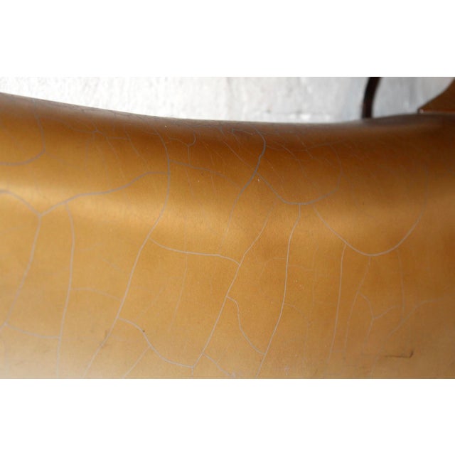 Mid 20th Century Hammerhead Shark Mount For Sale - Image 17 of 17