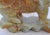 Jade Antique Jade Green Alabaster Cat Sculpture Buddhist Temple For Sale - Image 8 of 12