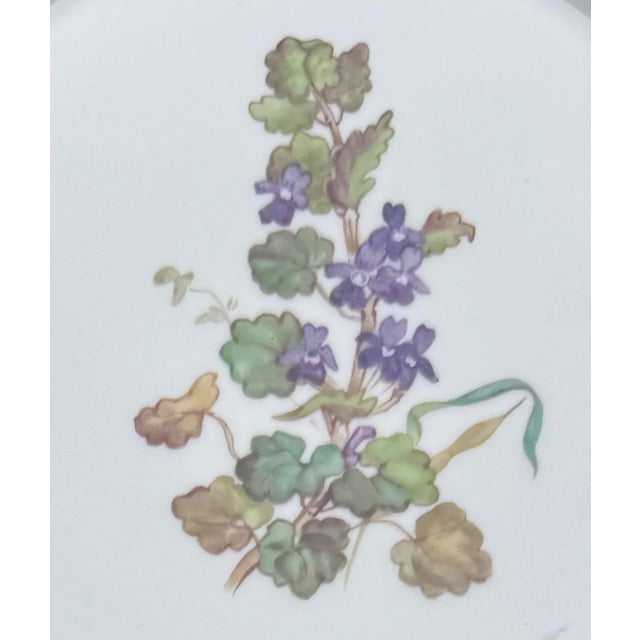 Mid 20th Century Four Nymphenburg Porcelain Botanical Plates For Sale - Image 5 of 11