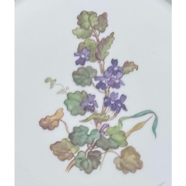 Mid 20th Century Vintage Nymphenburg Porcelain Botanical Plates – Set of Four For Sale - Image 5 of 11