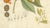 Myristica Aromatica, 1800s, Paper For Sale - Image 5 of 10