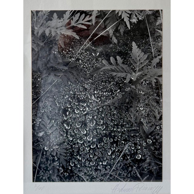 Andreas Feininger Andreas Feininger, American Photographer Andreas Feininger Silver Gelatin Vintage Print For Sale - Image 4 of 11