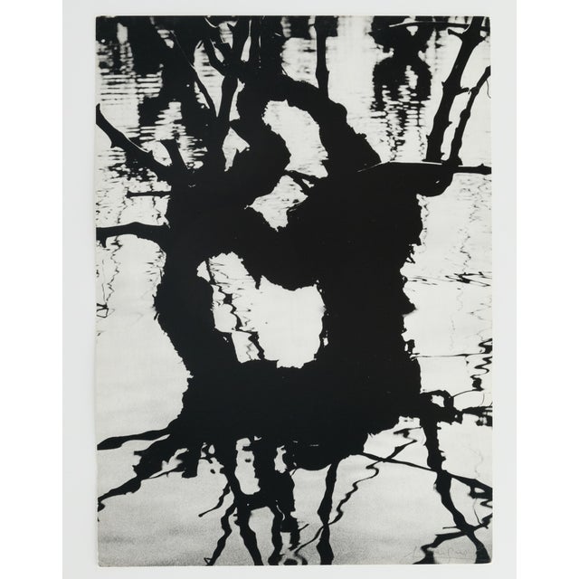 Lucien Clergue, Fourgues, 1960, Heliogravure For Sale - Image 7 of 7