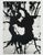 Lucien Clergue, Fourgues, 1960, Heliogravure For Sale - Image 7 of 7