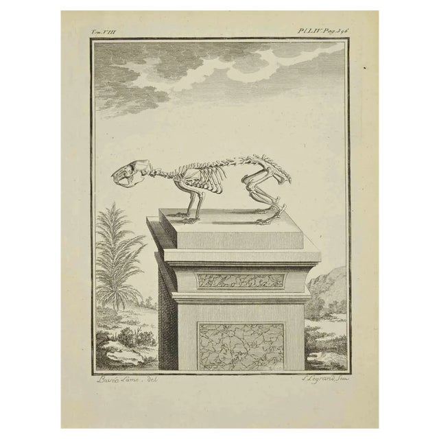 Louis Legrand, Skeleton, Etching, 1771 For Sale