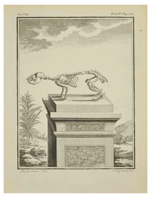 Louis Legrand, Skeleton, Etching, 1771
