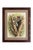 One Antique Framed Bird Print From the Birds of North America by Jacob H. Studer, Woodpecker, Edited From Original, See Description For Sale