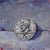 Real Steel 2 JFK 50 Cent Coin by Delton Demarest | Oil on board Painting of a JFK coin For Sale
