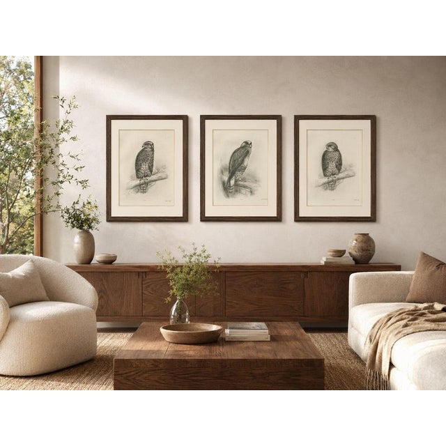 Lilian Marguerite Medland, Three British Raptors: Buzzards and Adult Goshawk, 1908, Photogravure, Set of 3 For Sale - Image 9 of 10
