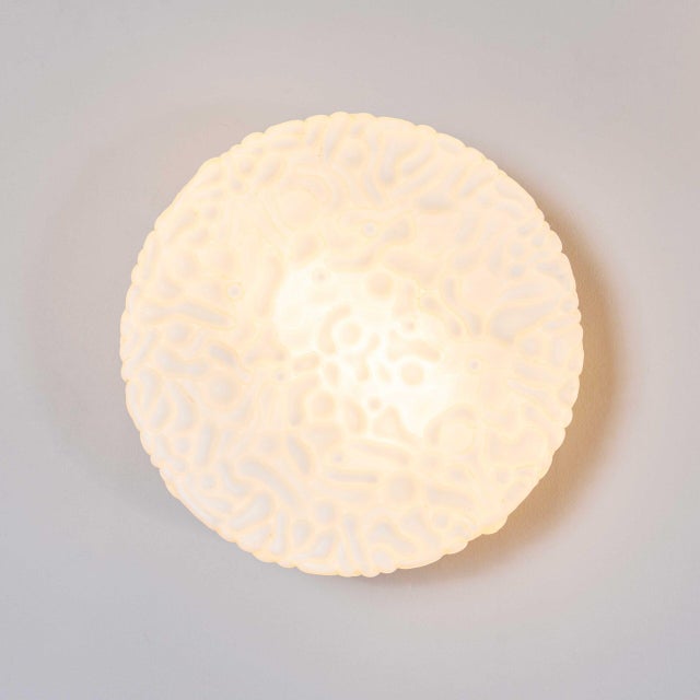 Czech Opaline Organic Ceiling Lamp, 1950s For Sale - Image 4 of 11