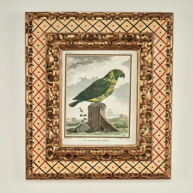 Antique Set of Eight Hand Colored Parrot Engravings For Sale - Image 10 of 18