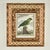 Antique Set of Eight Hand Colored Parrot Engravings For Sale - Image 10 of 18