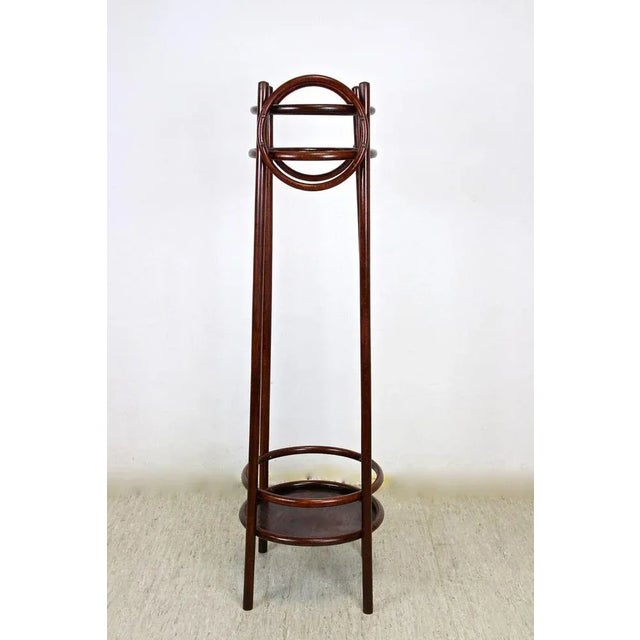 Bentwood Plant Stand from Thonet, Austria, 1905 For Sale - Image 5 of 9