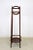 Bentwood Plant Stand from Thonet, Austria, 1905 For Sale - Image 5 of 9