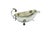 Silver Sauce Boat and Plate with Friezes and Applications For Sale - Image 6 of 6