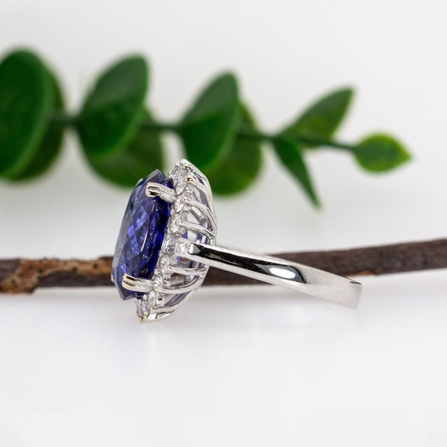 Statement 13x10mm, 9cts Tanzanite Ring W Natural Diamond Halo in Solid 14k Gold, Size 6.75 For Sale In Columbus - Image 6 of 8