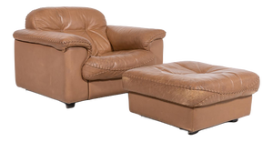 Set of DS 101 Lounge Chair in Brown Leather with Ottoman from de Sede, 1970s