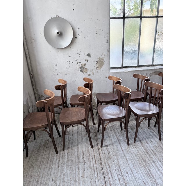 Walnut Bistro Chairs, 1970s, Set of 14 For Sale - Image 15 of 18