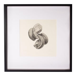 1989 “Cantata” Lithograph Print by Gendron Jensen For Sale