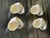 Natures Beauty set of 12 mother of pearl turbo sea shells as napkin rings. Great for wedding table decor.