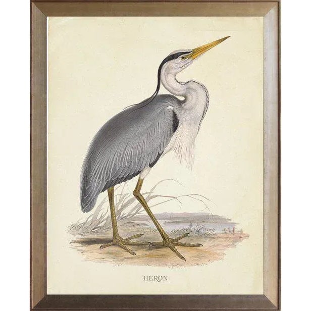 Heron in Distressed Metallic Frame 17x21