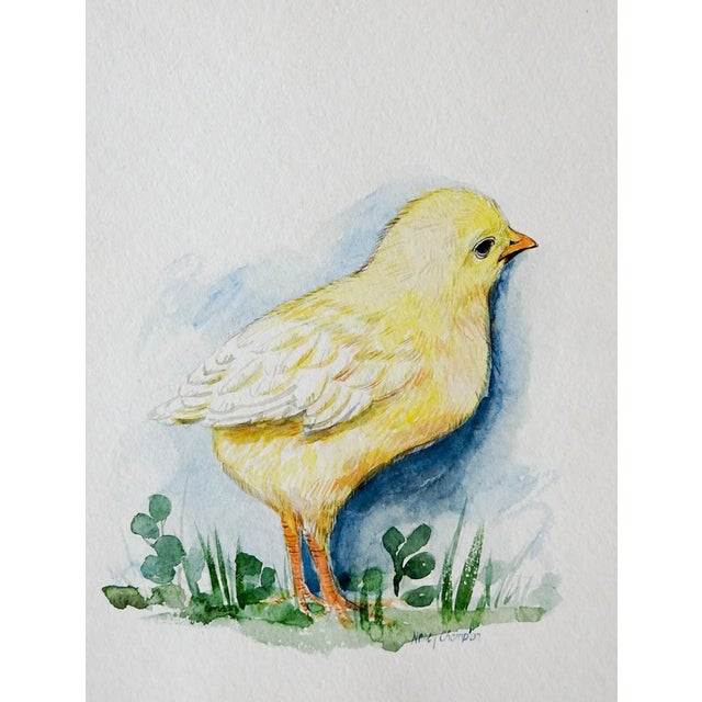 Baby Chick Watercolor Painting For Sale