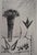 Bernard Buffet (1928-1999) Still Life with Bouquet and Fruit Original drypoint etching On wove paper, 28 x 38 cm (approx....
