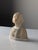 Beige Gustave Van Vaerenbergh, Bust of a Young Girl, 1900s, Alabaster For Sale - Image 8 of 13