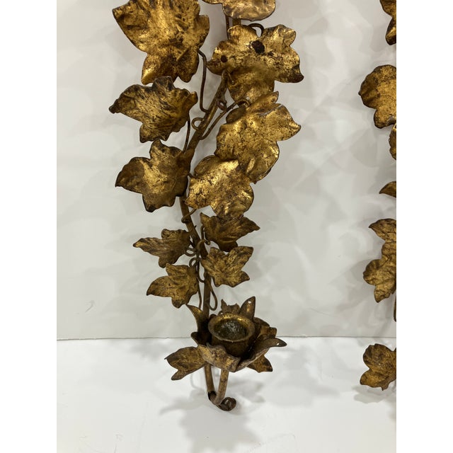 This pair of 50’s vintage sconces was made in Italy The tole leaves are applied to an iron frame The gold leaf finish has...