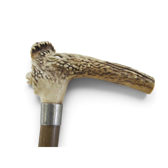 Late 19th Century Reindeer Carved Stag Deer Antler Handle Antique Walking Stick Cane For Sale - Image 5 of 13