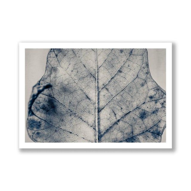 Contemporary Guy Sargent, The Vein of Truth, Archival Pigment Print For Sale - Image 3 of 6