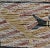 Djakandarra -Barracuda Fish -1960s Australian Aboriginal Painting For Sale - Image 4 of 9