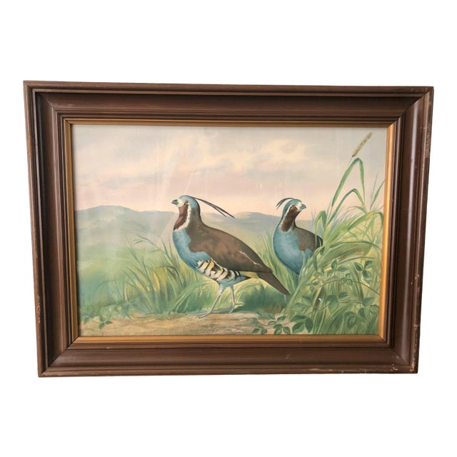 1875 Pope Alexander Jr Chromolithograph Quails Painting, Framed For Sale