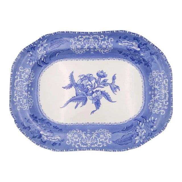 Spode "Camilla" Pattern Platter, England Circa 1920 For Sale