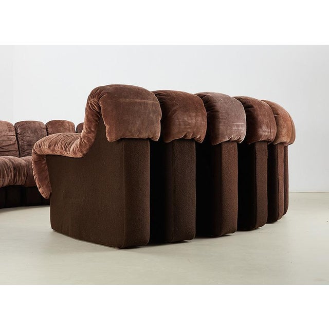 DS-600 Snake Sofa by Ueli Berger for de Sede, Switzerland, 1970s, Set of 22 For Sale - Image 9 of 15